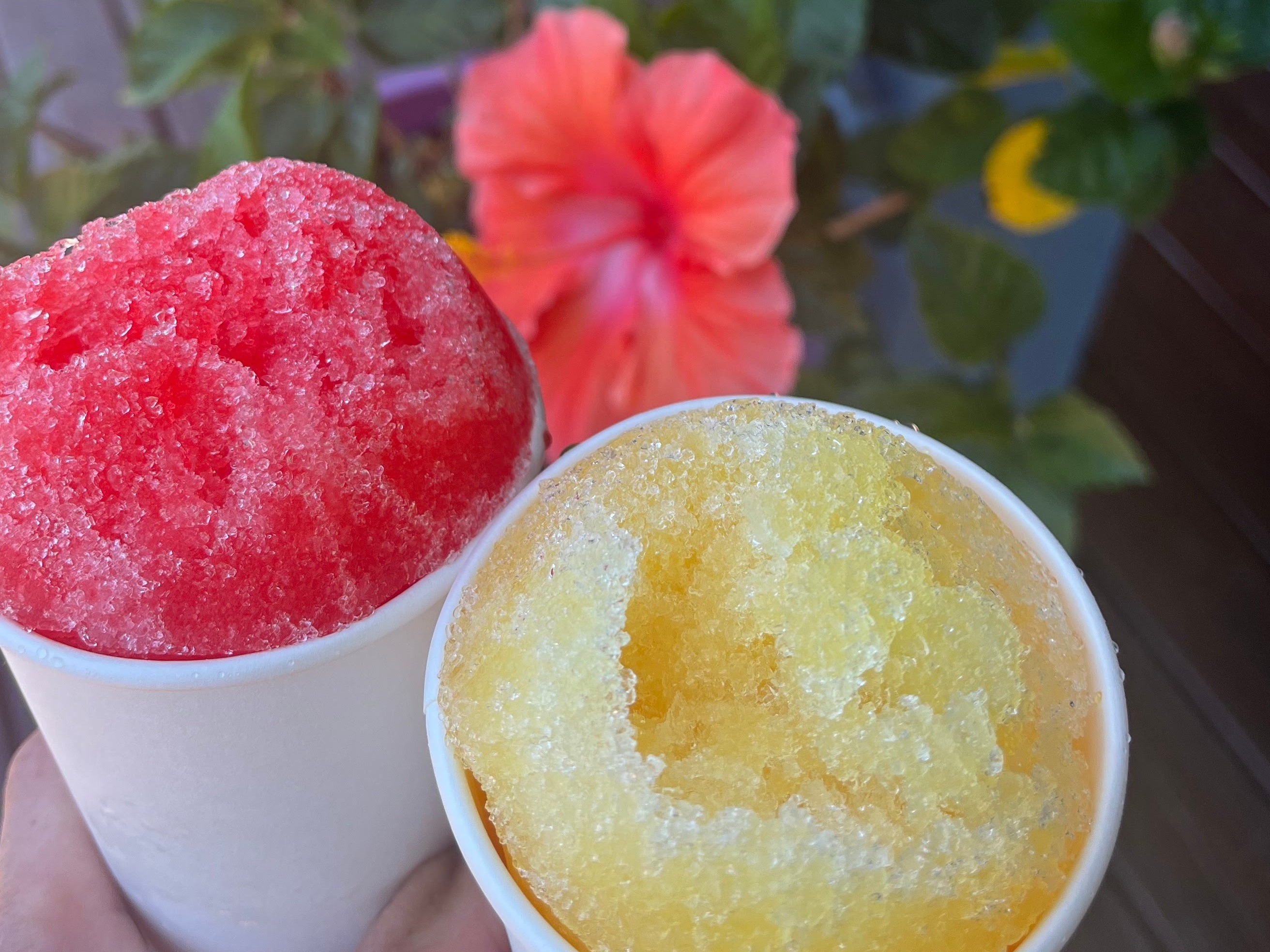 Cups of shaved ice with flower in background